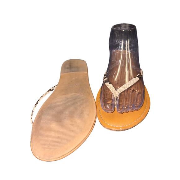 Amazon Essentials Snake Look Flip Flop Sandal Sz 8 - Picture 4 of 5